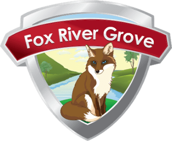 Fox River Grove-Chimney-Fireplace-Cleaning-Sweep-Repair-Masonry-Experts