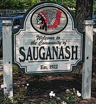 Sauganash-Chimney-Fireplace-Cleaning-Sweep-Repair-Masonry-Experts